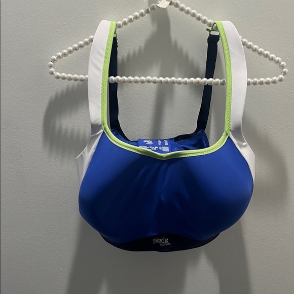 Panache Other - Panache Blue, White, and Green Sports Bra